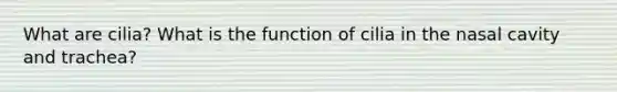 What are cilia? What is the function of cilia in the nasal cavity and trachea?