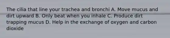 The cilia that line your trachea and bronchi A. Move mucus and dirt upward B. Only beat when you inhale C. Produce dirt trapping mucus D. Help in the exchange of oxygen and carbon dioxide