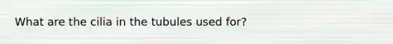 What are the cilia in the tubules used for?