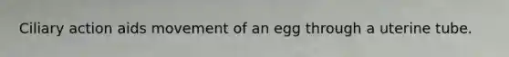 Ciliary action aids movement of an egg through a uterine tube.