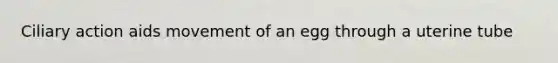 Ciliary action aids movement of an egg through a uterine tube