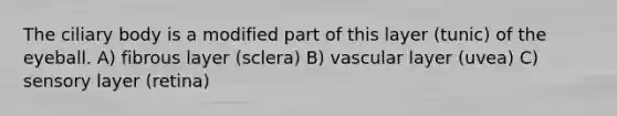 The ciliary body is a modified part of this layer (tunic) of the eyeball. A) fibrous layer (sclera) B) vascular layer (uvea) C) sensory layer (retina)