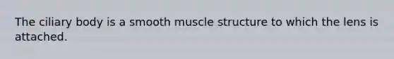 The ciliary body is a smooth muscle structure to which the lens is attached.