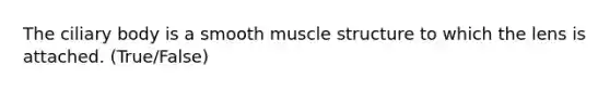 The ciliary body is a smooth muscle structure to which the lens is attached. (True/False)