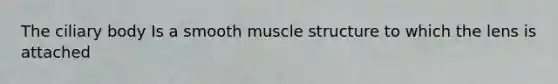 The ciliary body Is a smooth muscle structure to which the lens is attached