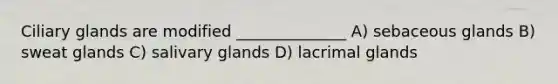 Ciliary glands are modified ______________ A) sebaceous glands B) sweat glands C) salivary glands D) lacrimal glands