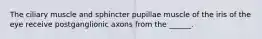 The ciliary muscle and sphincter pupillae muscle of the iris of the eye receive postganglionic axons from the ______.