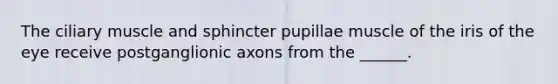 The ciliary muscle and sphincter pupillae muscle of the iris of the eye receive postganglionic axons from the ______.