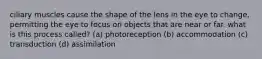 ciliary muscles cause the shape of the lens in the eye to change, permitting the eye to focus on objects that are near or far. what is this process called? (a) photoreception (b) accommodation (c) transduction (d) assimilation