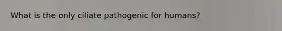 What is the only ciliate pathogenic for humans?