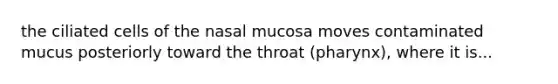 the ciliated cells of the nasal mucosa moves contaminated mucus posteriorly toward the throat (pharynx), where it is...