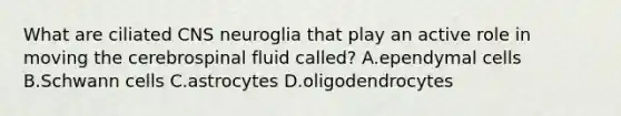 What are ciliated CNS neuroglia that play an active role in moving the cerebrospinal fluid called? A.ependymal cells B.Schwann cells C.astrocytes D.oligodendrocytes