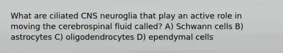 What are ciliated CNS neuroglia that play an active role in moving the cerebrospinal fluid called? A) Schwann cells B) astrocytes C) oligodendrocytes D) ependymal cells