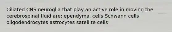 Ciliated CNS neuroglia that play an active role in moving the cerebrospinal fluid are: ependymal cells Schwann cells oligodendrocytes astrocytes satellite cells