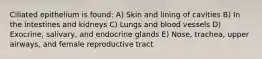 Ciliated epithelium is found: A) Skin and lining of cavities B) In the intestines and kidneys C) Lungs and blood vessels D) Exocrine, salivary, and endocrine glands E) Nose, trachea, upper airways, and female reproductive tract