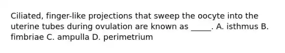 Ciliated, finger-like projections that sweep the oocyte into the uterine tubes during ovulation are known as _____. A. isthmus B. fimbriae C. ampulla D. perimetrium