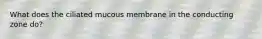 What does the ciliated mucous membrane in the conducting zone do?