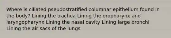 Where is ciliated pseudostratified columnar epithelium found in the body? Lining the trachea Lining the oropharynx and laryngopharynx Lining the nasal cavity Lining large bronchi Lining the air sacs of the lungs