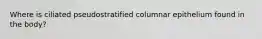 Where is ciliated pseudostratified columnar epithelium found in the body?