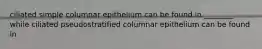 ciliated simple columnar epithelium can be found in ________ while ciliated pseudostratified columnar epithelium can be found in