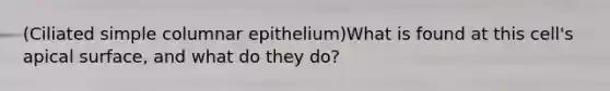 (Ciliated simple columnar epithelium)What is found at this cell's apical surface, and what do they do?