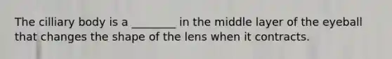 The cilliary body is a ________ in the middle layer of the eyeball that changes the shape of the lens when it contracts.