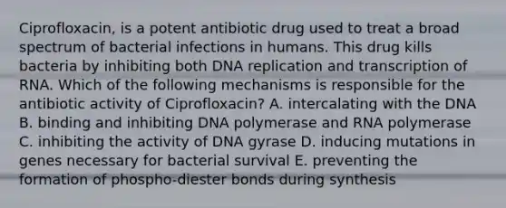 Ciprofloxacin, is a potent antibiotic drug used to treat a broad spectrum of bacterial infections in humans. This drug kills bacteria by inhibiting both <a href='https://www.questionai.com/knowledge/kofV2VQU2J-dna-replication' class='anchor-knowledge'>dna replication</a> and transcription of RNA. Which of the following mechanisms is responsible for the antibiotic activity of Ciprofloxacin? A. intercalating with the DNA B. binding and inhibiting DNA polymerase and RNA polymerase C. inhibiting the activity of DNA gyrase D. inducing mutations in genes necessary for bacterial survival E. preventing the formation of phospho-diester bonds during synthesis