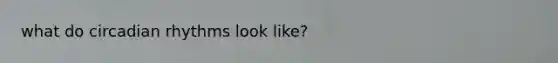 what do circadian rhythms look like?