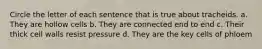 Circle the letter of each sentence that is true about tracheids. a. They are hollow cells b. They are connected end to end c. Their thick cell walls resist pressure d. They are the key cells of phloem