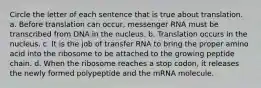 Circle the letter of each sentence that is true about translation. a. Before translation can occur, messenger RNA must be transcribed from DNA in the nucleus. b. Translation occurs in the nucleus. c. It is the job of transfer RNA to bring the proper amino acid into the ribosome to be attached to the growing peptide chain. d. When the ribosome reaches a stop codon, it releases the newly formed polypeptide and the mRNA molecule.