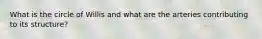 What is the circle of Willis and what are the arteries contributing to its structure?