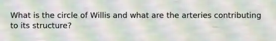What is the circle of Willis and what are the arteries contributing to its structure?