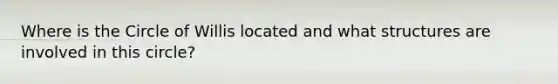 Where is the Circle of Willis located and what structures are involved in this circle?