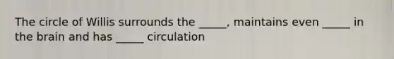 The circle of Willis surrounds the _____, maintains even _____ in the brain and has _____ circulation