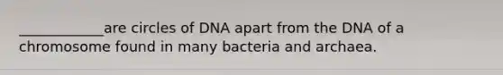 ____________are circles of DNA apart from the DNA of a chromosome found in many bacteria and archaea.