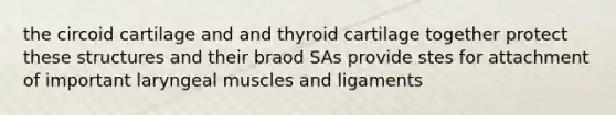 the circoid cartilage and and thyroid cartilage together protect these structures and their braod SAs provide stes for attachment of important laryngeal muscles and ligaments