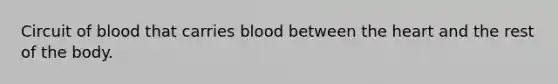 Circuit of blood that carries blood between the heart and the rest of the body.