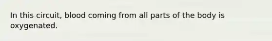In this circuit, blood coming from all parts of the body is oxygenated.