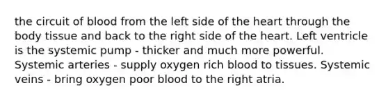 the circuit of blood from the left side of the heart through the body tissue and back to the right side of the heart. Left ventricle is the systemic pump - thicker and much more powerful. Systemic arteries - supply oxygen rich blood to tissues. Systemic veins - bring oxygen poor blood to the right atria.