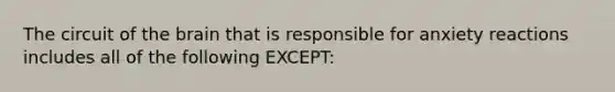 The circuit of the brain that is responsible for anxiety reactions includes all of the following EXCEPT: