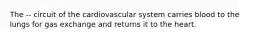 The -- circuit of the cardiovascular system carries blood to the lungs for gas exchange and returns it to the heart.