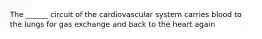 The ______ circuit of the cardiovascular system carries blood to the lungs for gas exchange and back to the heart again