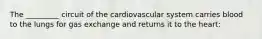 The _________ circuit of the cardiovascular system carries blood to the lungs for gas exchange and returns it to the heart: