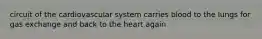 circuit of the cardiovascular system carries blood to the lungs for gas exchange and back to the heart again