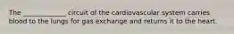 The _____________ circuit of the cardiovascular system carries blood to the lungs for gas exchange and returns it to the heart.