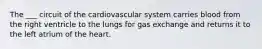 The ___ circuit of the cardiovascular system carries blood from the right ventricle to the lungs for gas exchange and returns it to the left atrium of the heart.