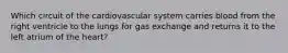 Which circuit of the cardiovascular system carries blood from the right ventricle to the lungs for gas exchange and returns it to the left atrium of the heart?