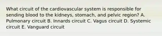 What circuit of the cardiovascular system is responsible for sending blood to the kidneys, stomach, and pelvic region? A. Pulmonary circuit B. Innards circuit C. Vagus circuit D. Systemic circuit E. Vanguard circuit