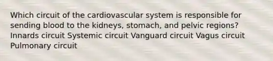 Which circuit of the <a href='https://www.questionai.com/knowledge/kCN8ytPuqL-cardiovascular-system' class='anchor-knowledge'>cardiovascular system</a> is responsible for sending blood to the kidneys, stomach, and pelvic regions? Innards circuit Systemic circuit Vanguard circuit Vagus circuit Pulmonary circuit