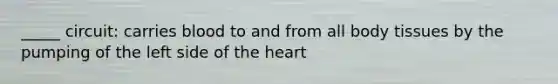 _____ circuit: carries blood to and from all body tissues by the pumping of the left side of the heart